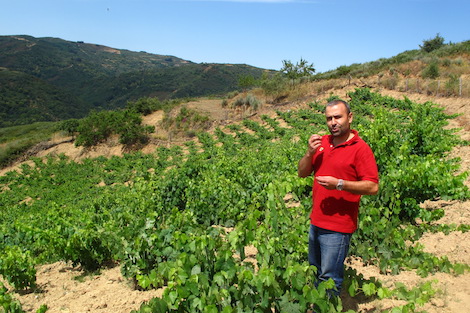 Quinta da Muradella: la artesanía del vino